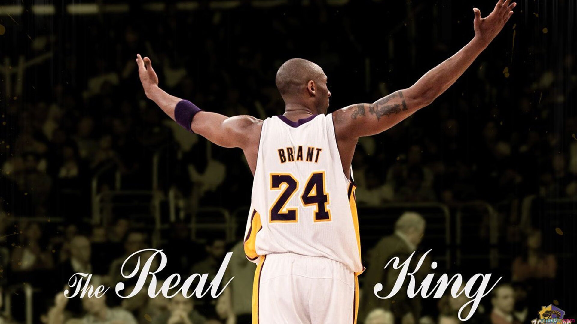 【比赛状况】顶级运动员怎样调整战术应对突发变化？，运动员战术能力